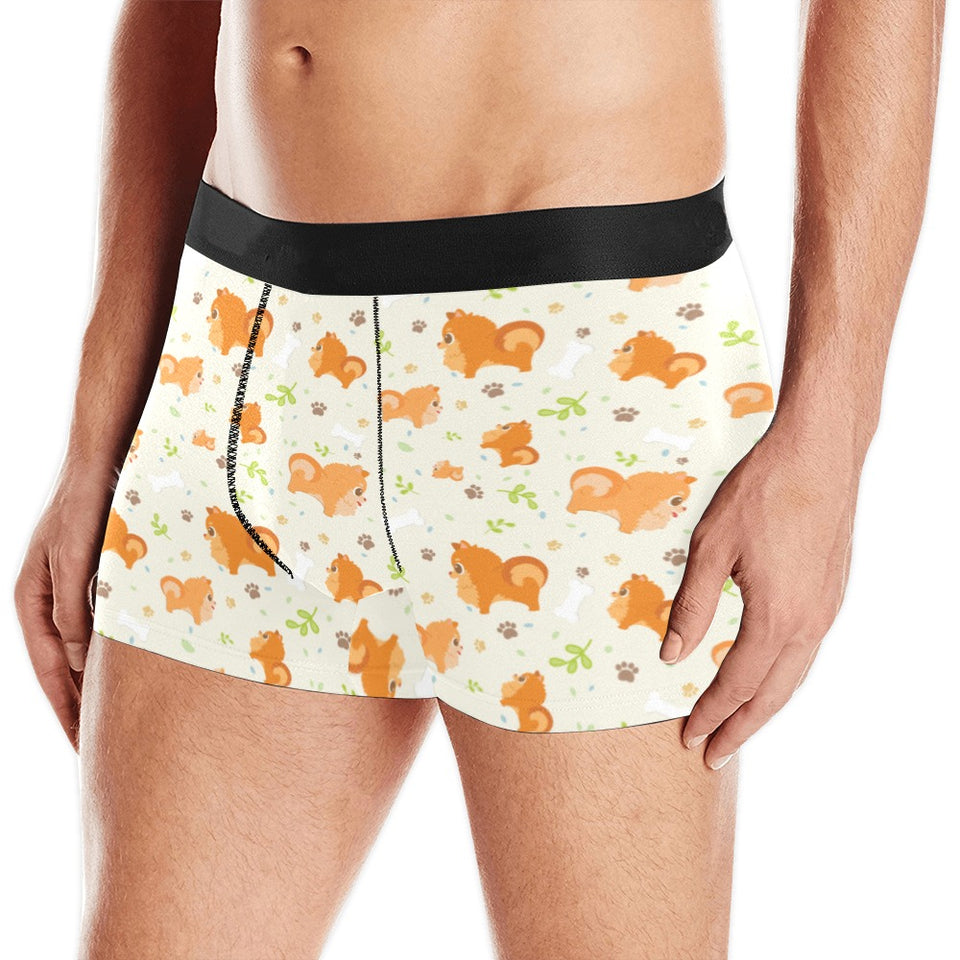 Cute brown pomeranian paw leave bone pattern Men's All Over Print Boxer Briefs Men's Underwear