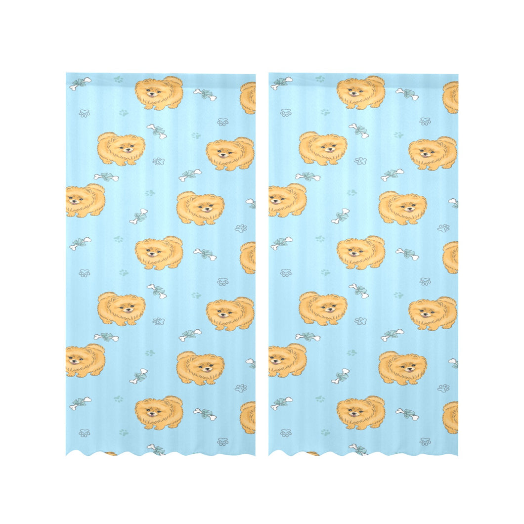 Brown cute pomeranian blue blackground Gauze Curtain