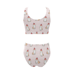 Cute Shiba Inu Dog Apple pattern Chest Bowknot High Waisted Bikini Swimsuit