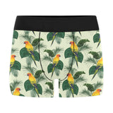 Beautiful parrot palm leaves pattern Men's All Over Print Boxer Briefs Men's Underwear