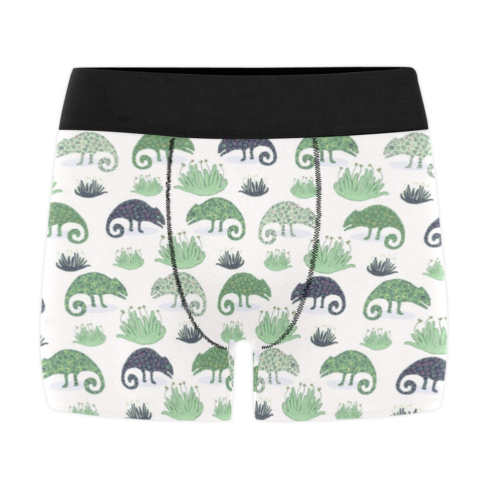 Chameleon lizard succulent plant pattern Men's All Over Print Boxer Briefs Men's Underwear