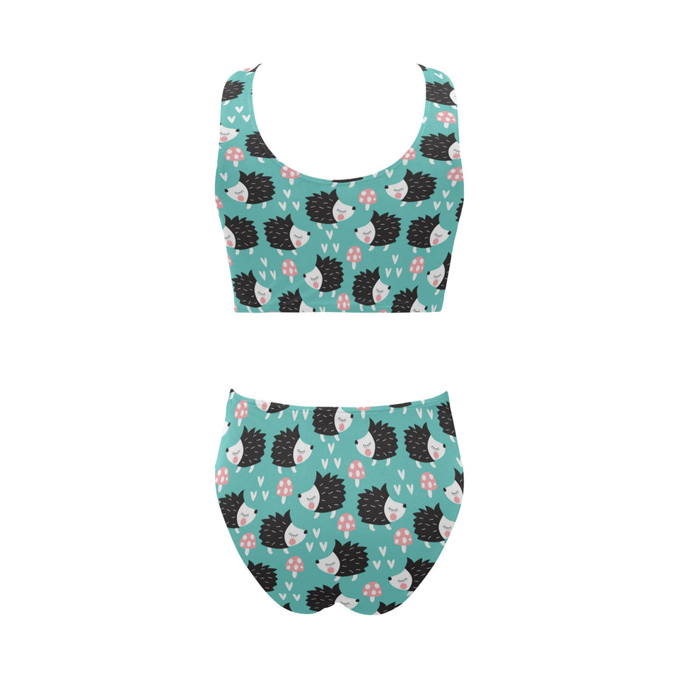 Hedgehog Pattern Print Design 03 Chest Bowknot High Waisted Bikini Swimsuit