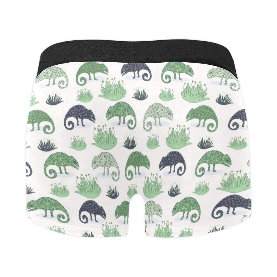 Chameleon lizard succulent plant pattern Men's All Over Print Boxer Briefs Men's Underwear