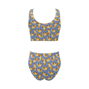 Guinea Pig Pattern Print Design 02 Chest Bowknot High Waisted Bikini Swimsuit
