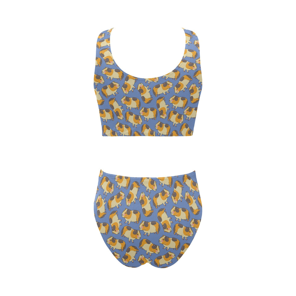 Guinea Pig Pattern Print Design 02 Chest Bowknot High Waisted Bikini Swimsuit