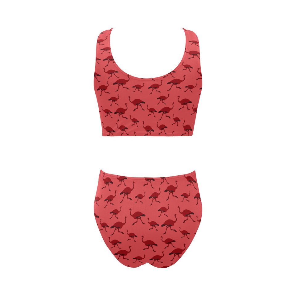 Ostrich Pattern Print Design 03 Chest Bowknot High Waisted Bikini Swimsuit