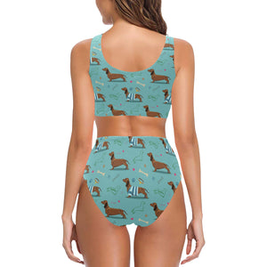 Dachshund decorative background Chest Bowknot High Waisted Bikini Swimsuit