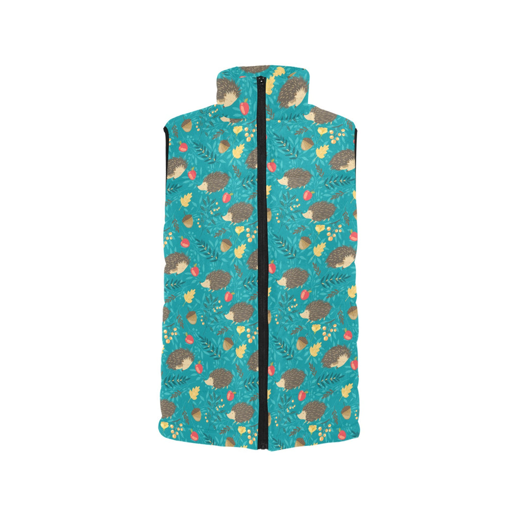 Hedgehog Pattern Print Design 01 Men's Padded Vest