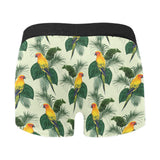 Beautiful parrot palm leaves pattern Men's All Over Print Boxer Briefs Men's Underwear
