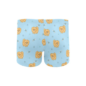 Brown cute pomeranian blue blackground Men's Swimming Trunks