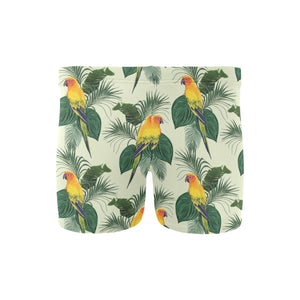 Beautiful parrot palm leaves pattern Men's Swimming Trunks