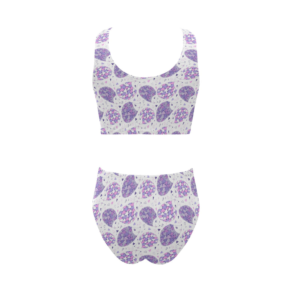 Hedgehog Pattern Print Design 05 Chest Bowknot High Waisted Bikini Swimsuit
