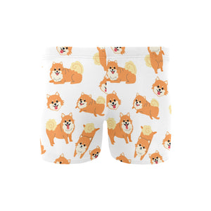 Brown pomeranian pattern Men's Swimming Trunks