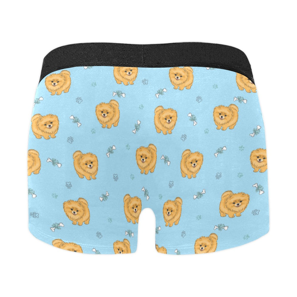 Brown cute pomeranian blue blackground Men's All Over Print Boxer Briefs Men's Underwear