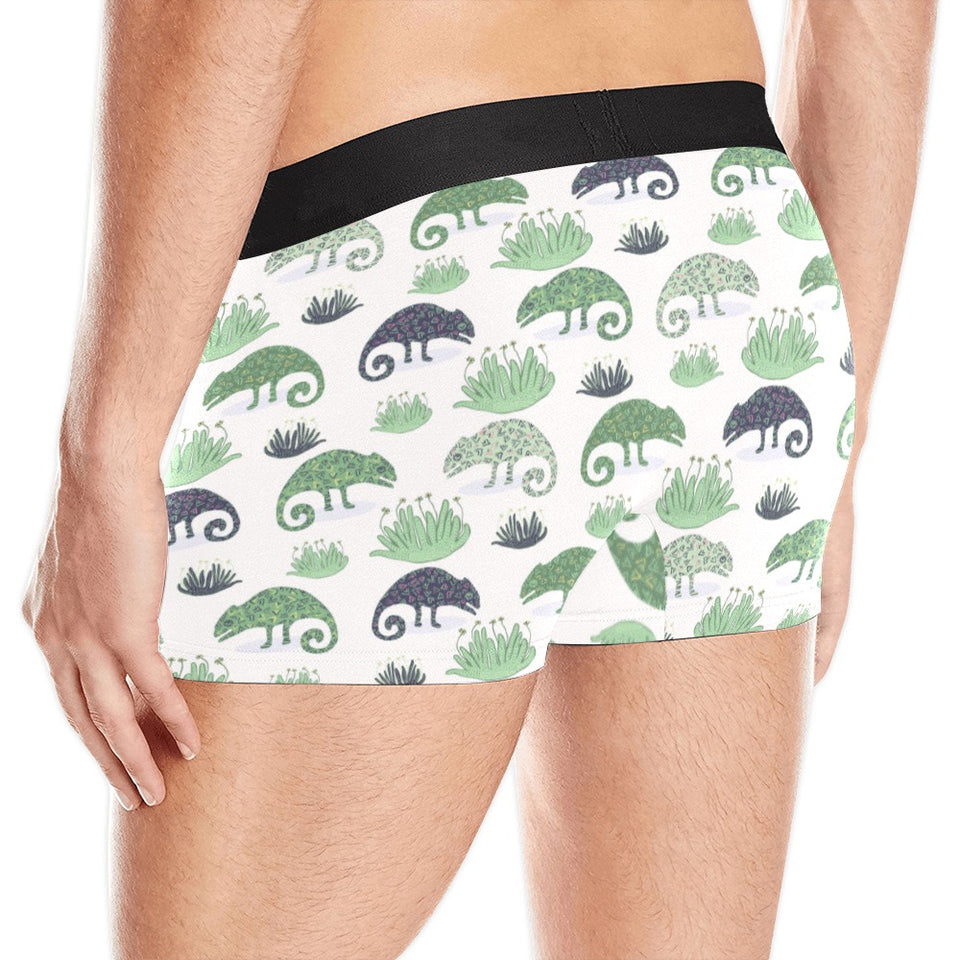 Chameleon lizard succulent plant pattern Men's All Over Print Boxer Briefs Men's Underwear