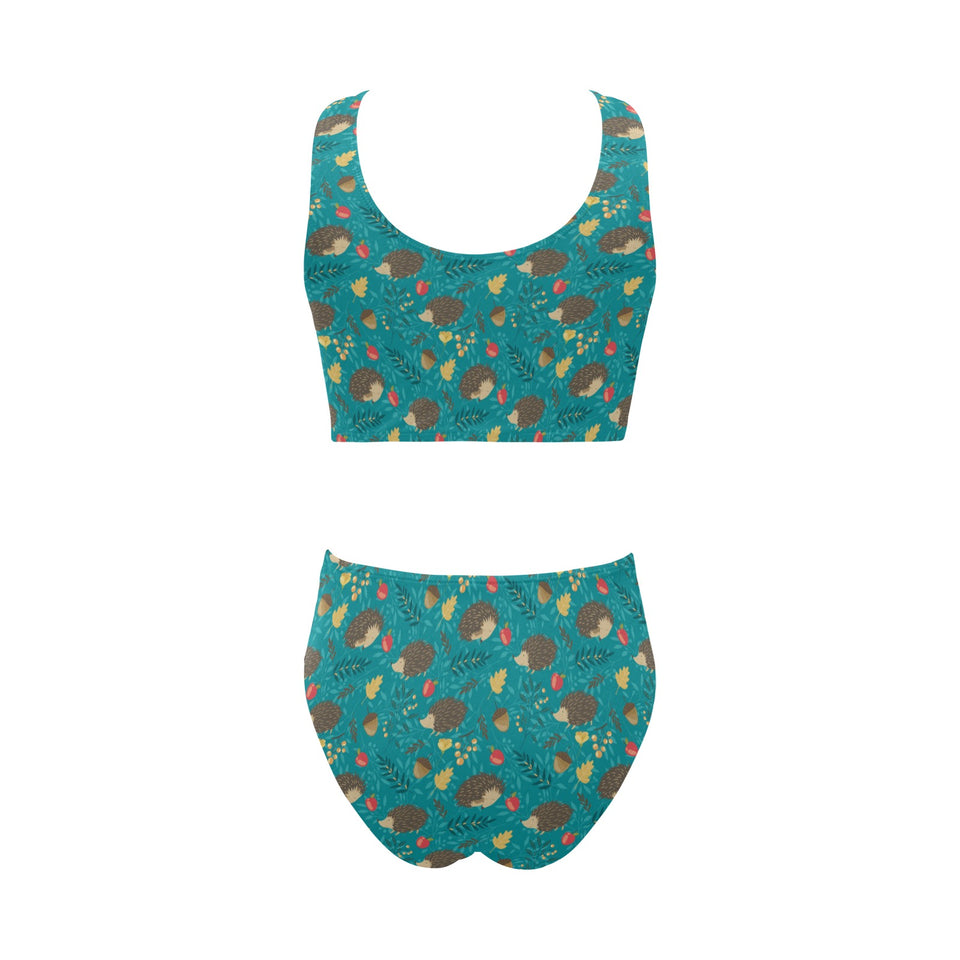 Hedgehog Pattern Print Design 01 Chest Bowknot High Waisted Bikini Swimsuit