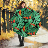 Heliconia Flower Palm Monstera Leaves Black Background Umbrella