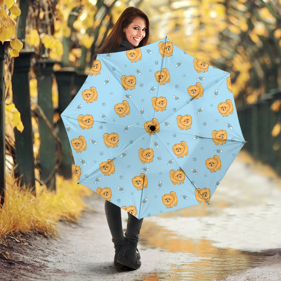 Brown Cute Pomeranian Blue Blackground Umbrella