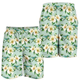 Hummingbird Pattern Print Design 01 Men Shorts