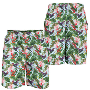 Hummingbird Pattern Print Design 05 Men Shorts