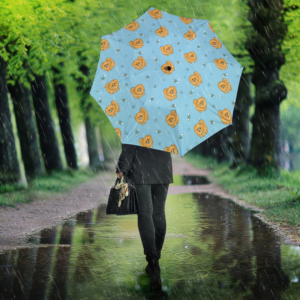 Brown Cute Pomeranian Blue Blackground Umbrella