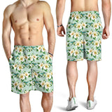 Hummingbird Pattern Print Design 01 Men Shorts