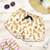 Golden Retriever Pattern Print Design 05 Women Shorts