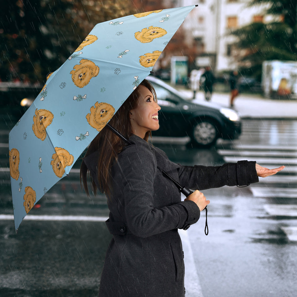 Brown Cute Pomeranian Blue Blackground Umbrella
