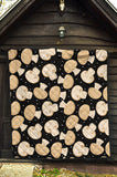 Champignon Mushroom Pattern Premium Quilt