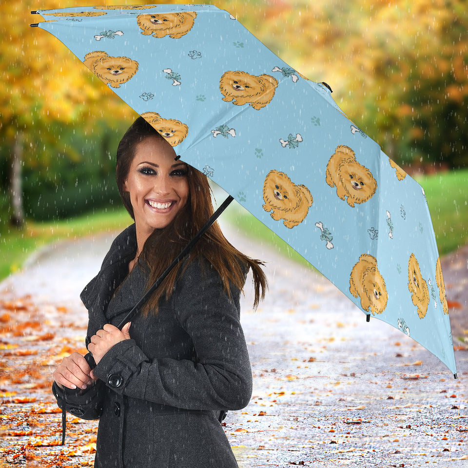 Brown Cute Pomeranian Blue Blackground Umbrella